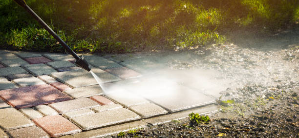 Best Solar Panel Cleaning  in Stockton University, NJ